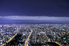 ハルカス３００