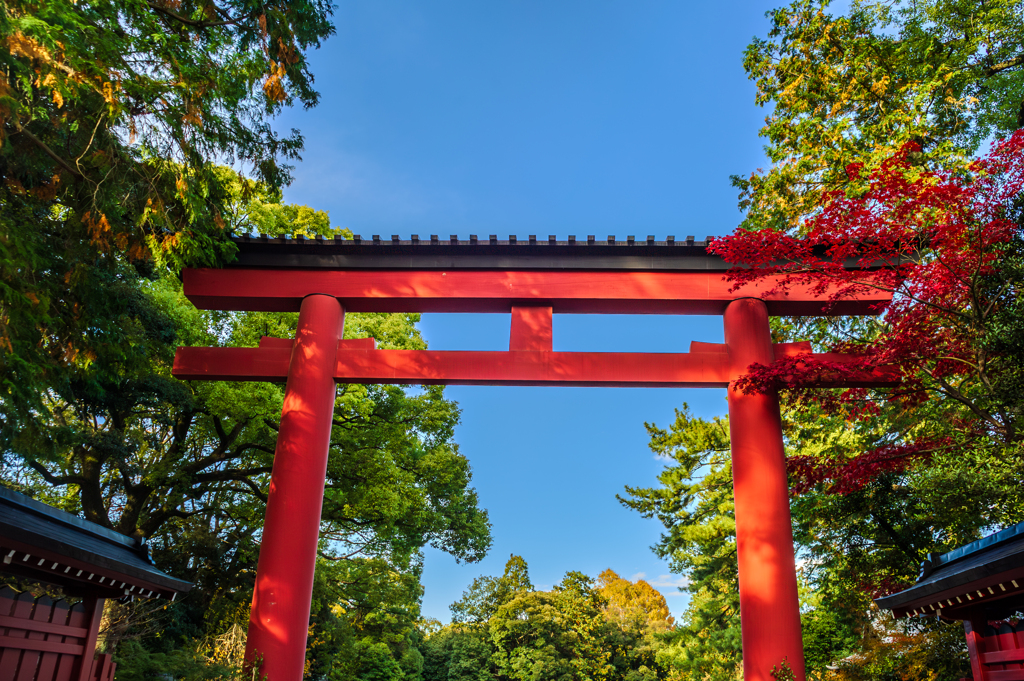 Nikon D3S + Sigma Super Wide II テスト撮影