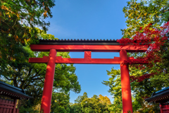 Nikon D3S + Sigma Super Wide II テスト撮影