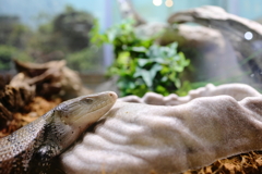 ひと休憩
