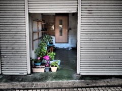 銚子の街角