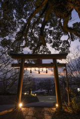 鳥居から眺める夕景