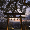 鳥居から眺める夕景