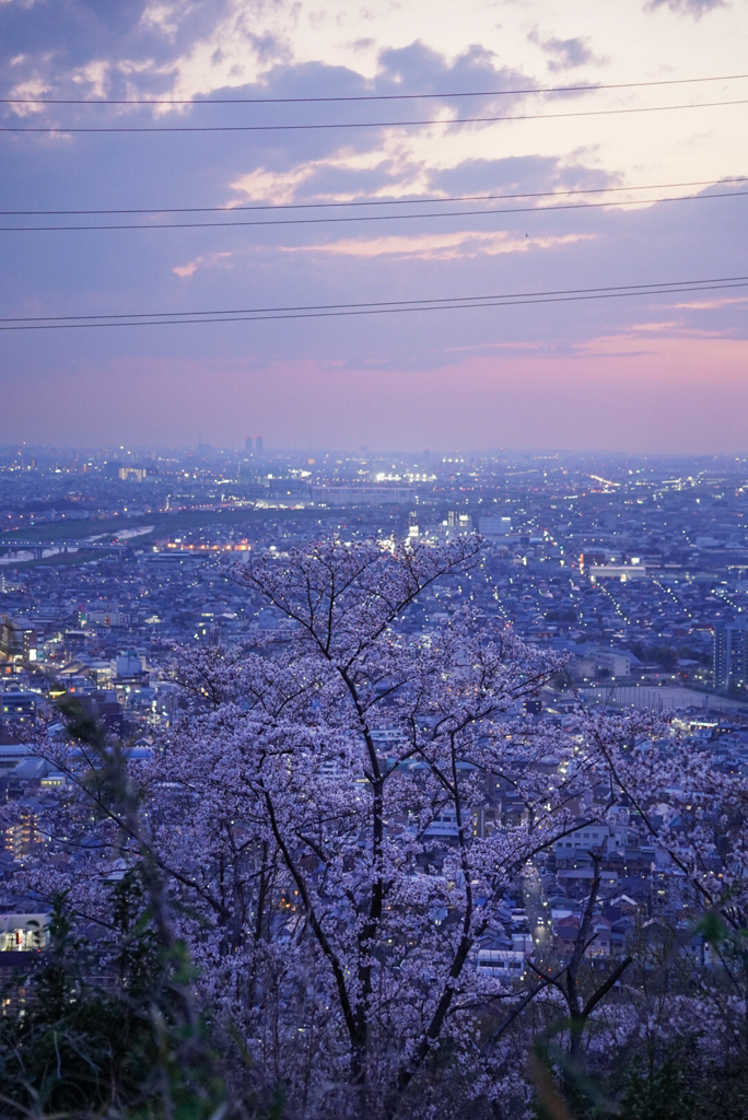 高尾山