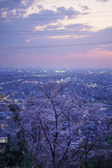 高尾山
