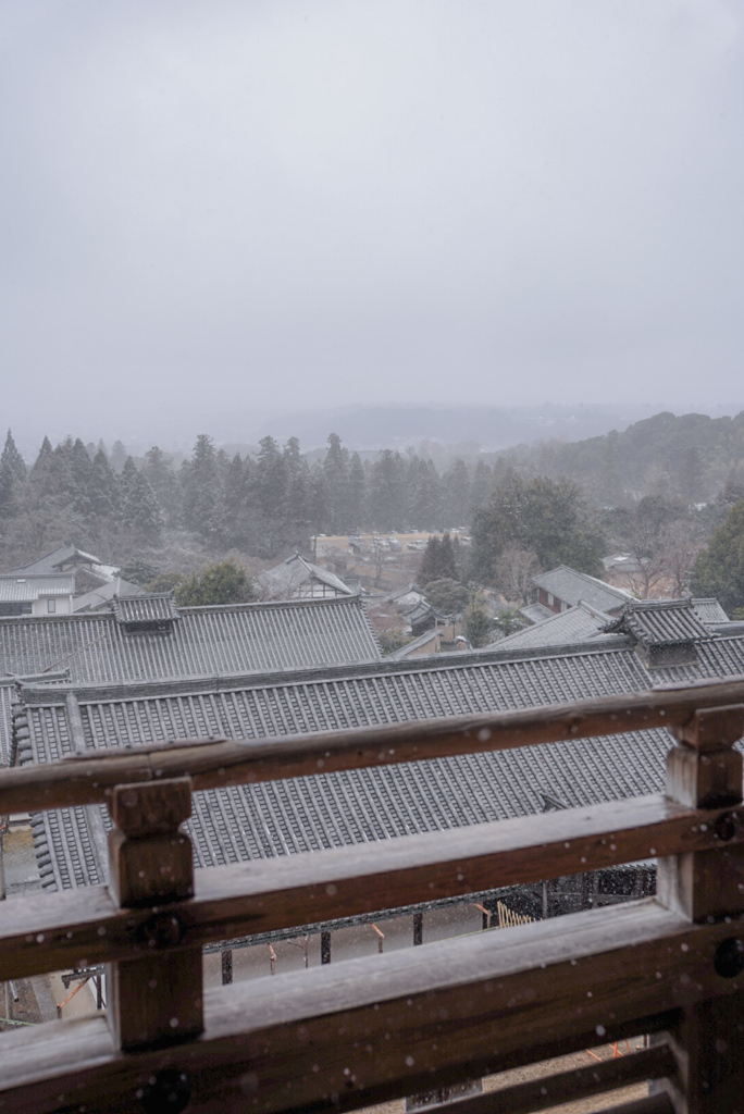 二月堂からの雪景色