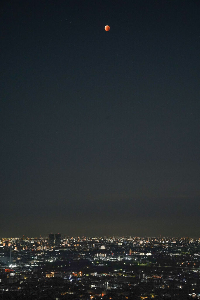 皆既月食