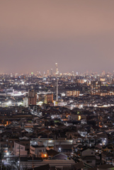 市民の森からの夜景