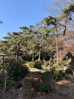 日本庭園