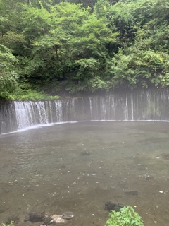 ミストシャワー