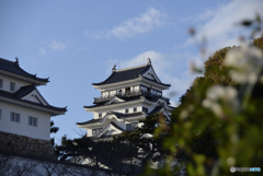 福山城