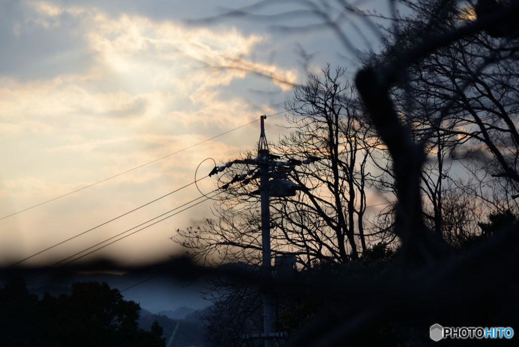 電柱