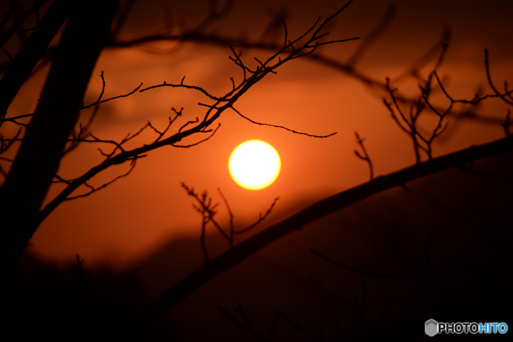 夕焼け