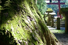 山道の脇道