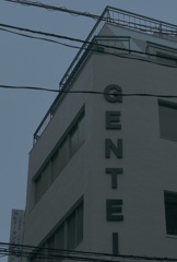 限定？