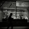 silhouette