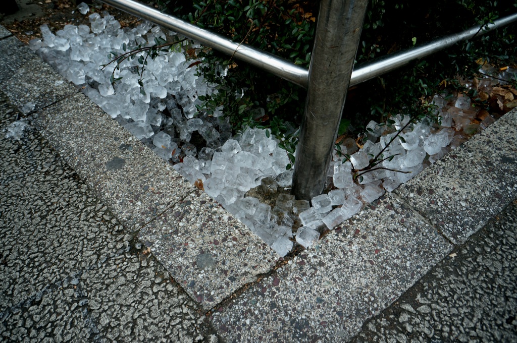 ice