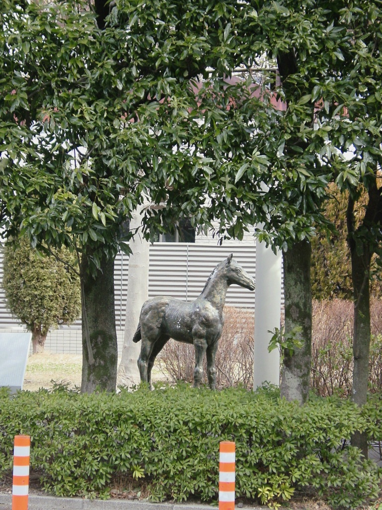 都会派の馬