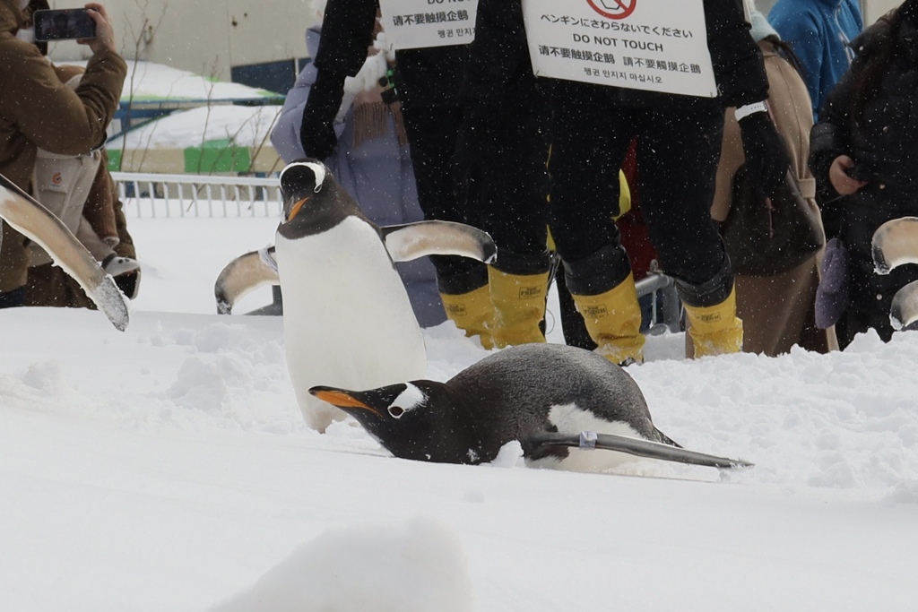 おたる水族館
