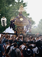 わっしょい❕