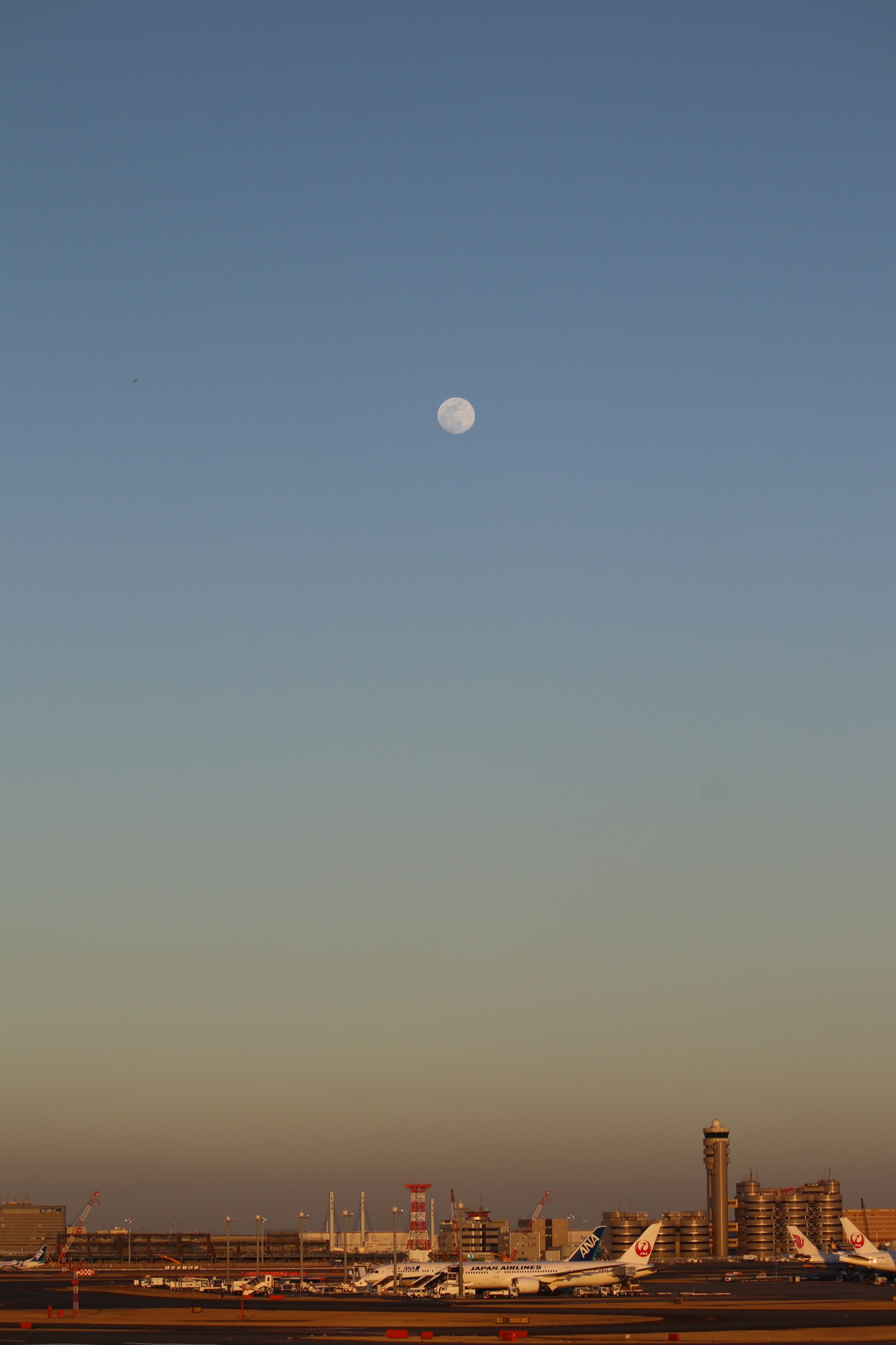 月