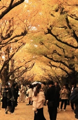 イエローロード