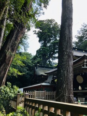 鹿島神宮