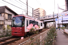 住民の生活を支えてくれている乗り物