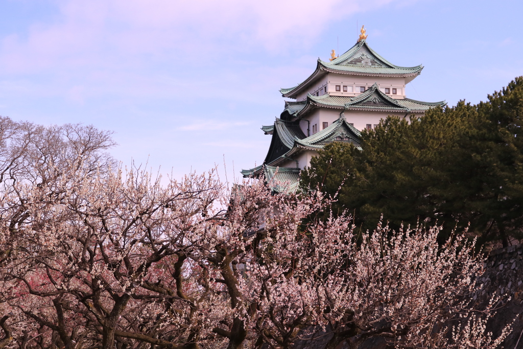 名古屋城