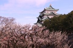 名古屋城