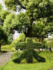 木