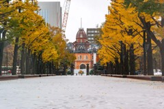 雪の銀杏並木