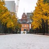 雪の銀杏並木