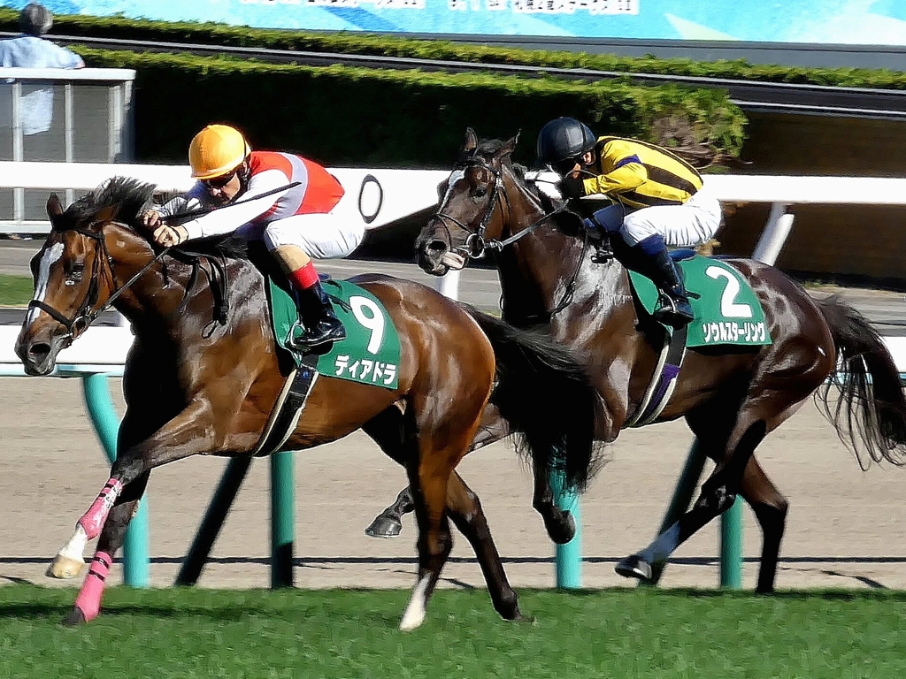 午年なので・・・