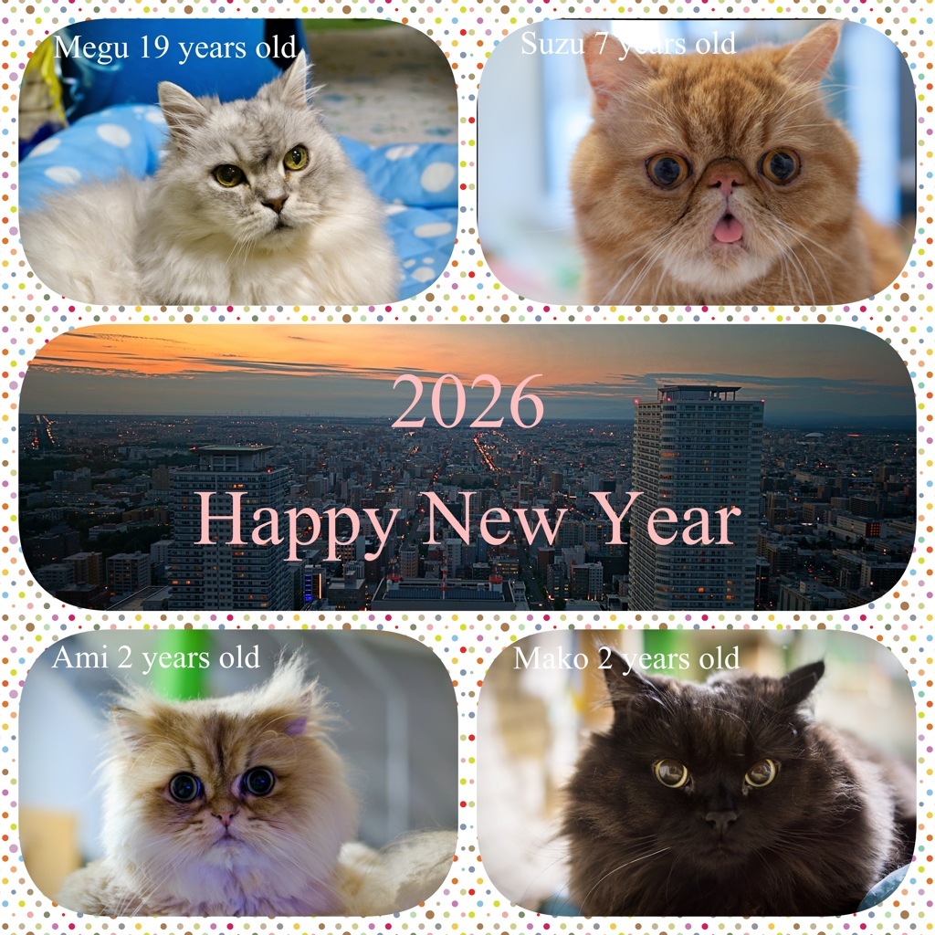 明けましておめでとうございます