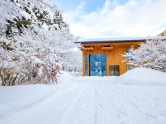 雪の華