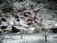 輝きながら