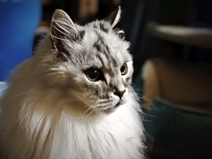 19歳になりました(=^・^=)