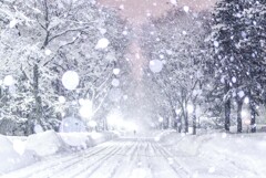 猛吹雪の夜