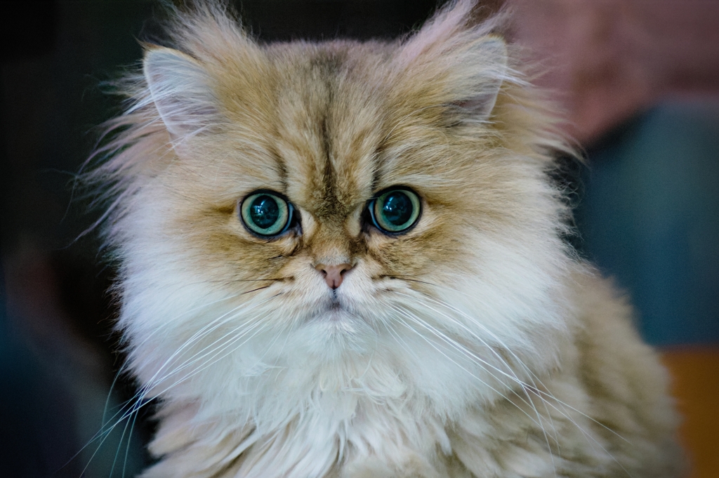 良いお年をお迎えください