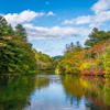 紅葉　軽井沢　雲場池
