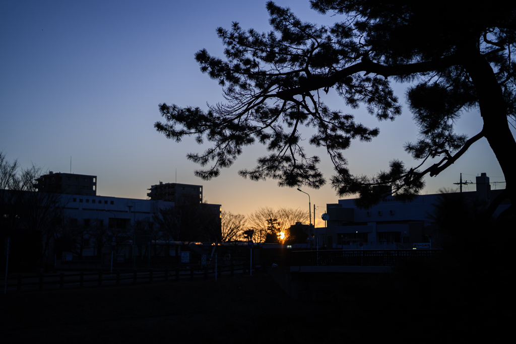 2025 初日の出