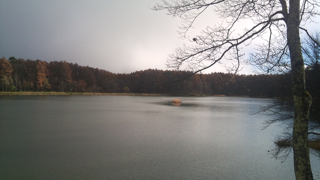 大座法師池　2012/11