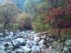 同じく駒ヶ根辺りの紅葉　2011/10