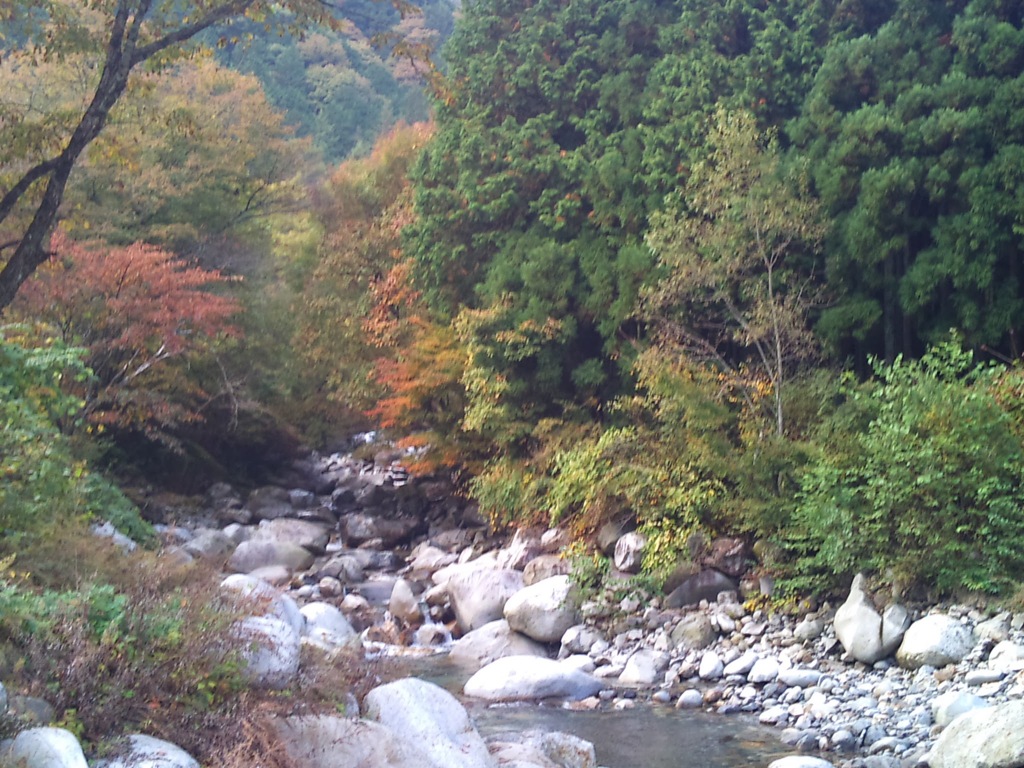 駒ヶ根辺り？天龍峡？の紅葉　2011/10