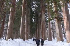雪のある戸隠神社奥社　2025/1