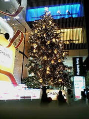 いろいろな師走の景色,銀座のソニー前かな？　2005/12