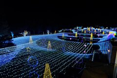 あずみの公園のイルミネーション