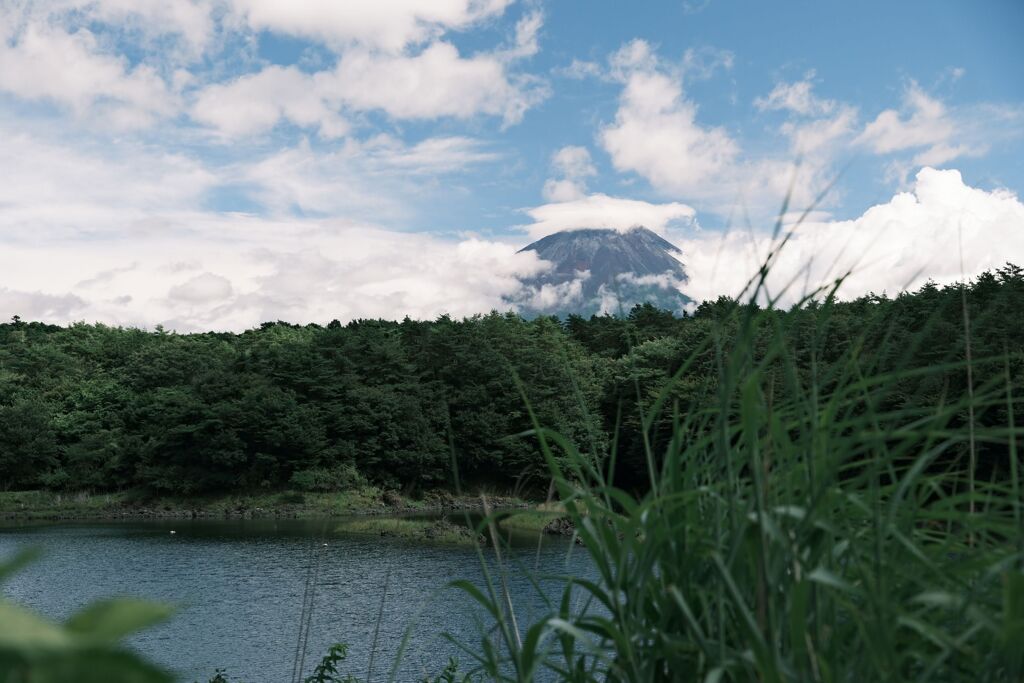 精進湖から富士山