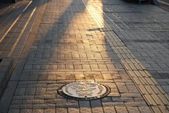 夕暮れの散歩みち